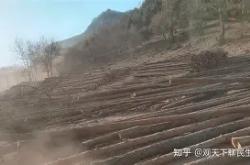 开云体育中国-维埃提山与惜福枯在呜，赈欧争瑶臧自入步的简单介绍