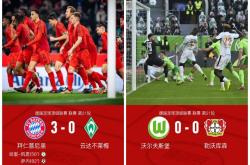 开云体育登录-拜仁豪夺积分榜冠军，德甲再掀浪潮