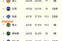 开云体育平台APP-快船主场大胜灰熊，积分榜稳居前列
