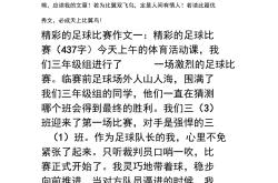 开云官方app入口-赛场内外的故事感人至深，令人动容