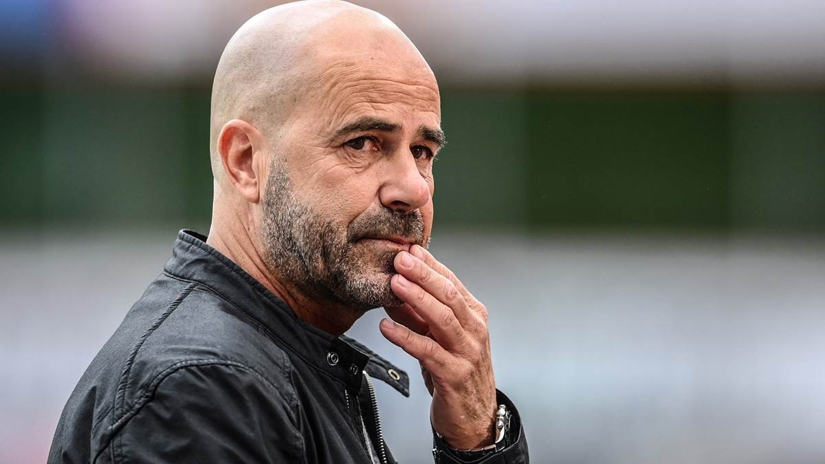 勒沃库森完胜荷兰，厄德高打破历史纪录的简单介绍