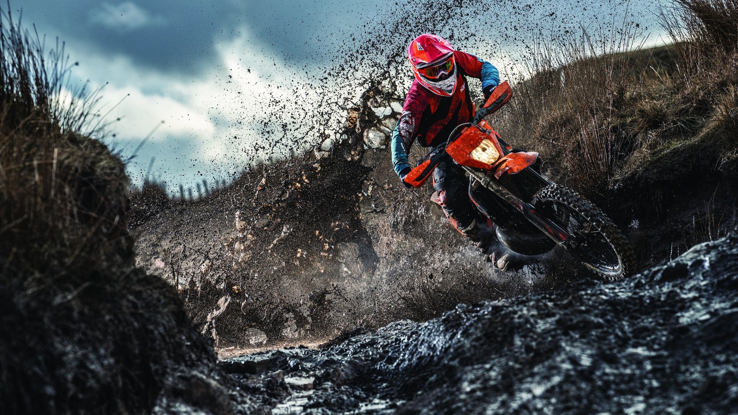 胜负之外，暴力美学与细雪禅心的同场交响