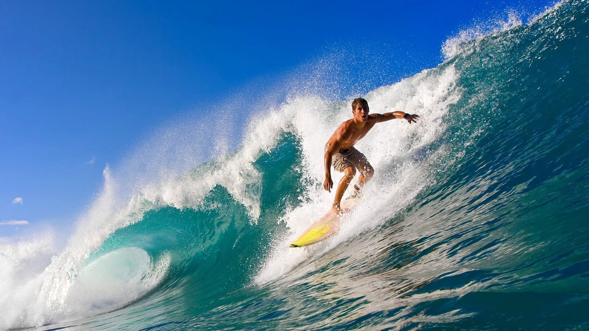 从联合杯滑铁卢到年终总决赛称霸，兹维列夫的救赎之钥与唯一性胜利